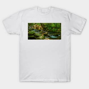 Rainbow Falls Hike T-Shirt